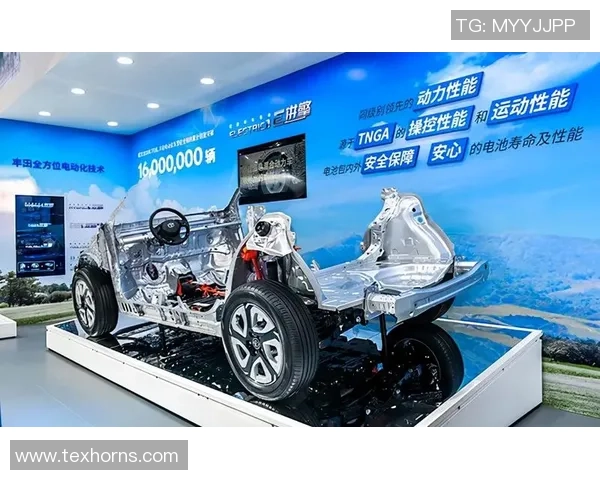 北京足球队在洲际杯中的实力展现与未来发展潜力分析